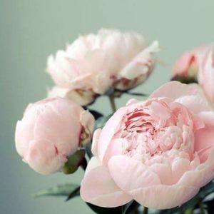 Meet your Posher, Stephen